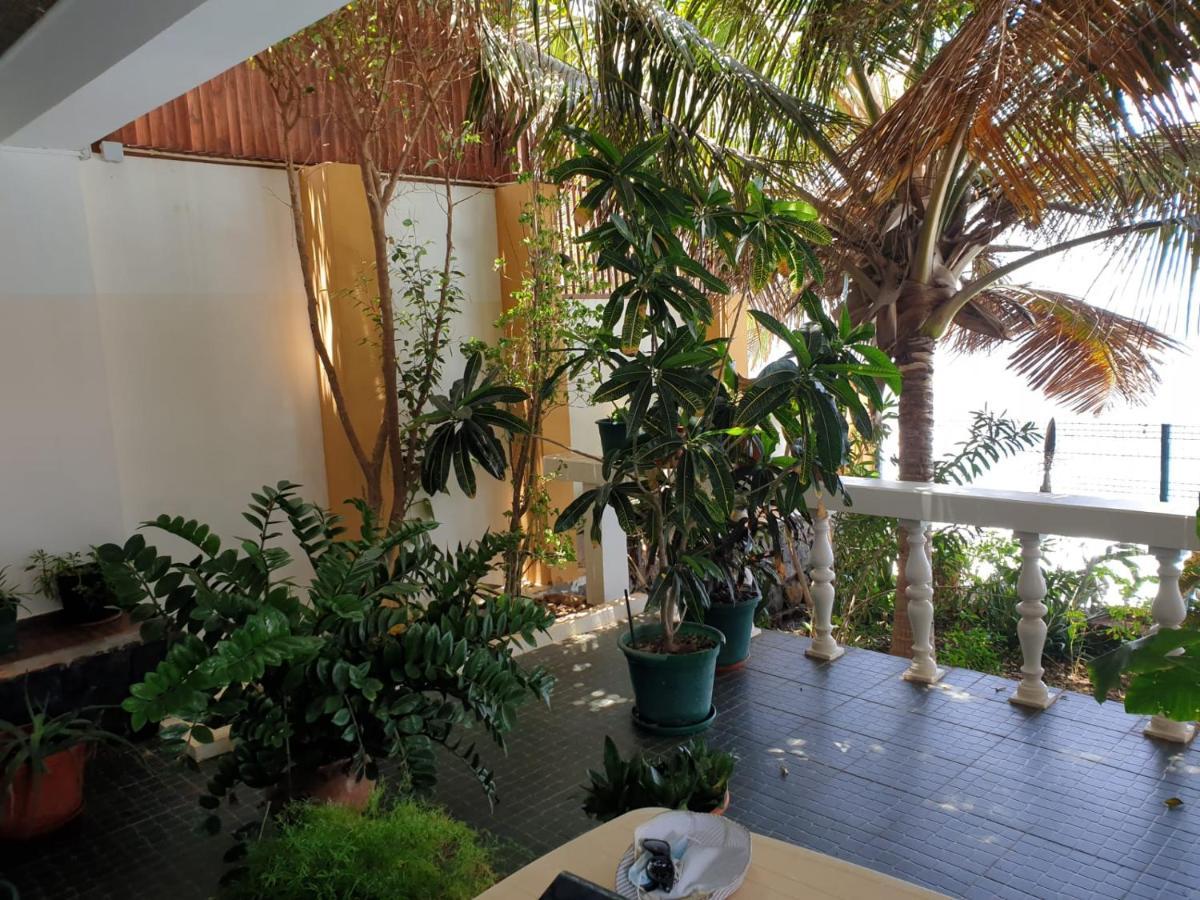 Cactus Guest House Cidade Velha Zewnętrze zdjęcie